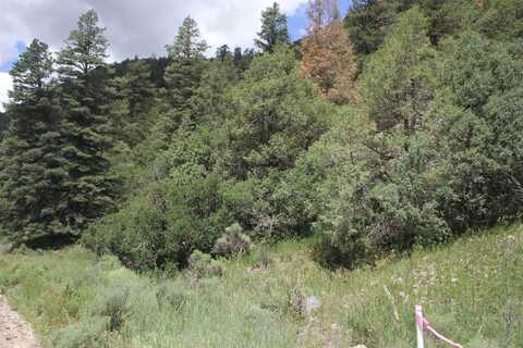 5 Acres Cabresto Canyon, Questa, NM 87556