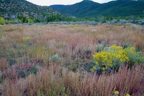 Tract B Witt Rd, Taos, NM 87571