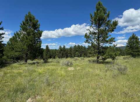 Lot 458 San Mateo, Angel Fire, NM 87710