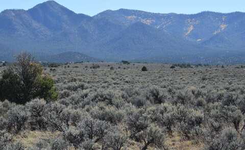 CR 110, Ranchos de Taos, NM 87557