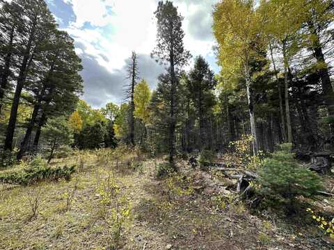 Lot 58 Back Basin Rd, Angel Fire, NM 87710