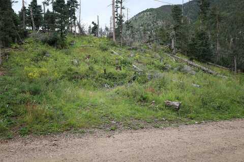 Hidden Valley Rd, Red River, NM 87558