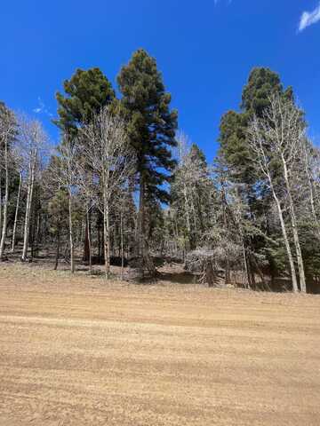 Lot 54 Vermejo Cir, Angel Fire, NM 87710