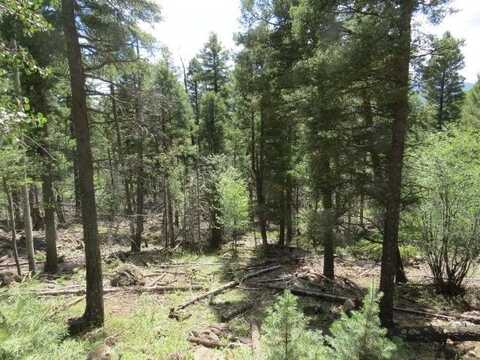 Tbd Panorama Way Lot 1144, Angel Fire, NM 87710