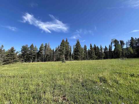 Lot 84 Elk Meadow, Angel Fire, NM 87710