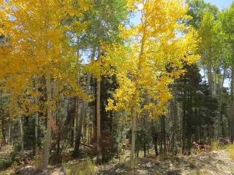 Tbd Brazos Drive Lot 28, Angel Fire, NM 87710