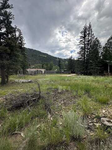 328 Bitter Creek Rd, Red River, NM 87558