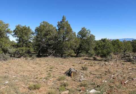 41 Servilleta Lot 41, Tres Piedras, NM 87577