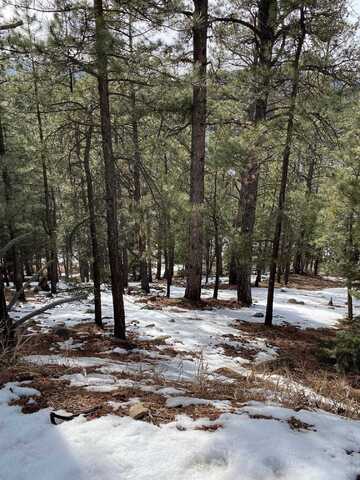 Lot 13 Snowmass, Angel Fire, NM 87710