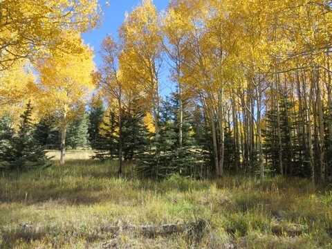 Tbd Beaver Loop Lot 149, Angel Fire, NM 87710