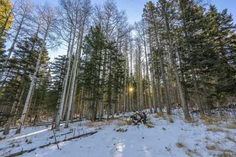 Lot 64 Mertz Place, Angel Fire, NM 87710