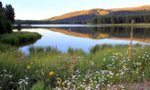 Lot 25a Alpine Lake Terrace, Angel Fire, NM 87710