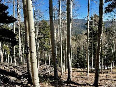 Lot 51 Via de Maria, Angel Fire, NM 87710