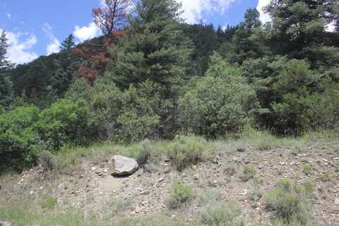 12 Acres Cabresto Canyon, Questa, NM 87556