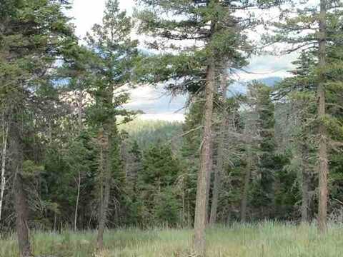 Lot 11 Palo Flechado Ridge Road, Angel Fire, NM 87710