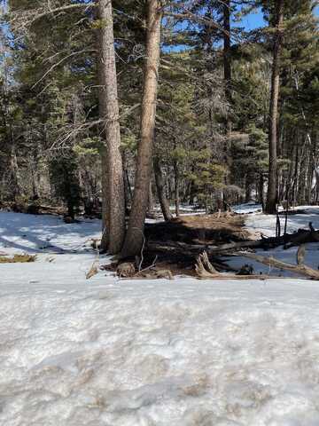 Lot 368 Vail Loop, Angel Fire, NM 87710