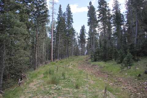 Lot 19 Hinz Dr, Black Lake, NM 87710