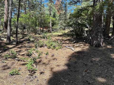 Lot 1195 Chino Terrace, Angel Fire, NM 87710