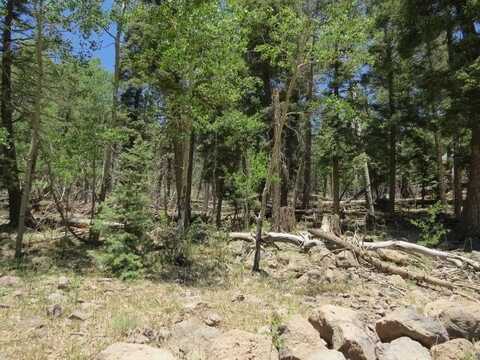 Tbd Royal Avenue Lot 1491, Angel Fire, NM 87710