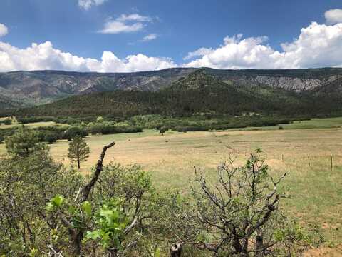 Cr A034 Williams Canyon 62 Acres, Guadalupita, NM 87722