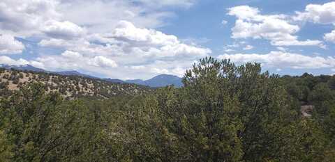 Lot L14 Sandia Canyon Road, Arroyo Hondo, NM 87513