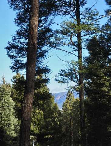 Lot 1108 Valle Grande Circle, Angel Fire, NM 87710