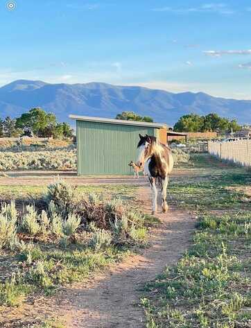 Tr A Lower Colonias, El Prado, NM 87529