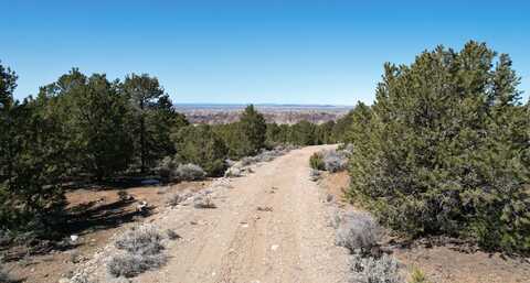 590 Piedmont, Taos, NM 87571