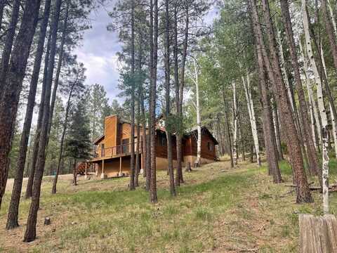 19 Black Lake Terrace, Angel Fire, NM 87710