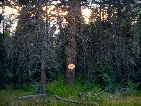 Lot 98 Elk Meadows, Angel Fire, NM 87710