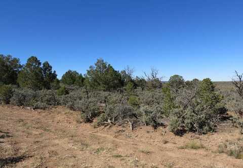 44 Servilleta Lot 44, Tres Piedras, NM 87577