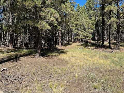 Lot 8 Blk D St Andrews Way, Angel Fire, NM 87710