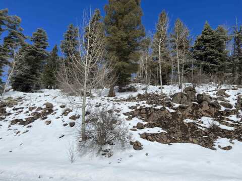 Lot 1124 El Camino Real, Angel Fire, NM 87710