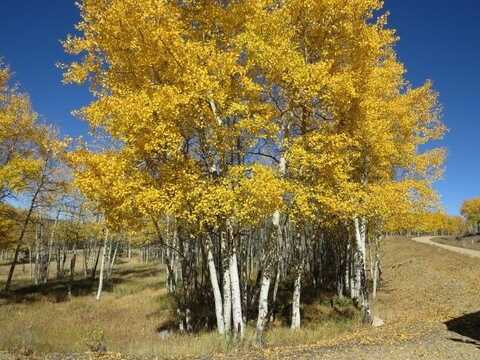 Tbd Turkey Feather Lot 169, Angel Fire, NM 87710