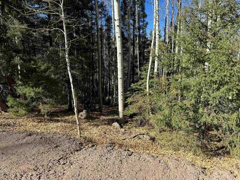 Lot 721 Santo Domingo Trail, Angel Fire, NM 87710