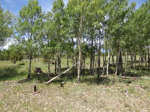 Tbd Beaver Loop Lot 152, Angel Fire, NM 87710