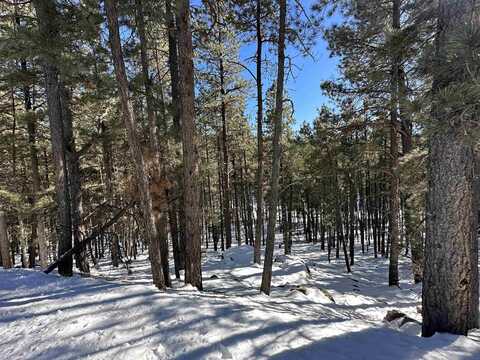 Lot 1469 Cheerful Way, Angel Fire, NM 87710