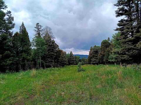 Lot 1220 Rainbow Overlook, Angel Fire, NM 87710