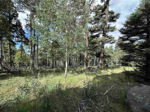 Lot 1437 Cheerful Way, Angel Fire, NM 87710