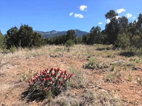 Lot 17 Duval Rd, Valdez, NM 87580