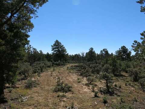 38 Servilleta Lot 38, Tres Piedras, NM 87577