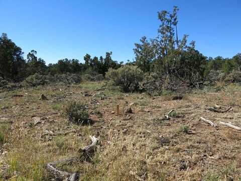 43 Servilleta Lot 43, Tres Piedras, NM 87577