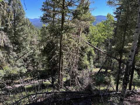 Lot 358 Taos Dr, Angel Fire, NM 87710