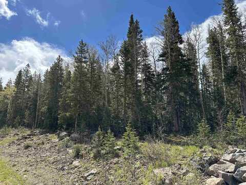 Lot 47 Happy Way, Angel Fire, NM 87710