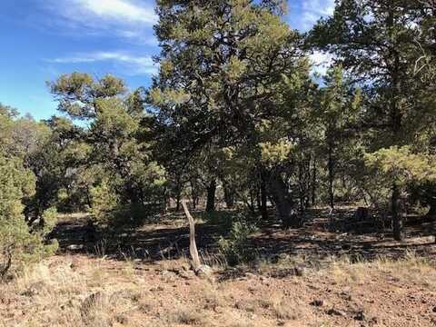 0 Pinon Drive, Tres Piedras, NM 87577