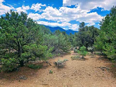 Tr A2 Alana Rd, Questa, NM 87556