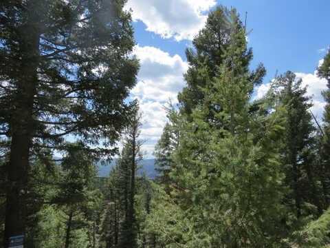 Tbd Panorama Way Lot 1145, Angel Fire, NM 87710