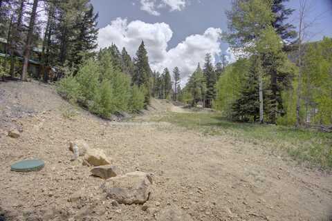 16 Bitter Creek Road, Red River, NM 87558