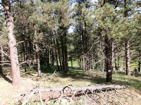 Lot 160 Valle Grande tr S, Angel Fire, NM 87710