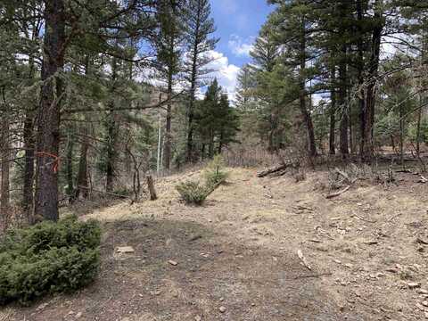 Lot 73 Taos Pines Ranch Road, Angel Fire, NM 87710